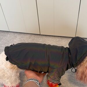 Iridescent Dog Raincoat